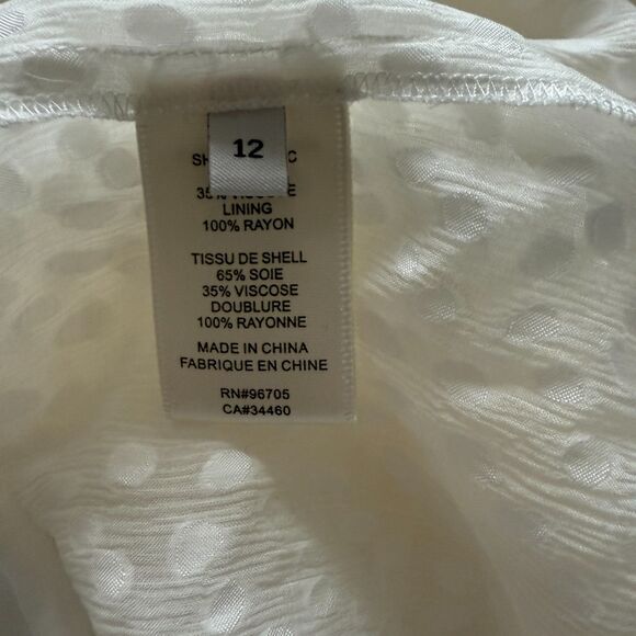 Rebecca Taylor Women's Ruffle Sheer Button Front Ruffle Trim Shirtdress Dress 12 - Picture 11 of 13